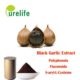 black garlic extract