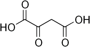 Oxaloacetic Acid