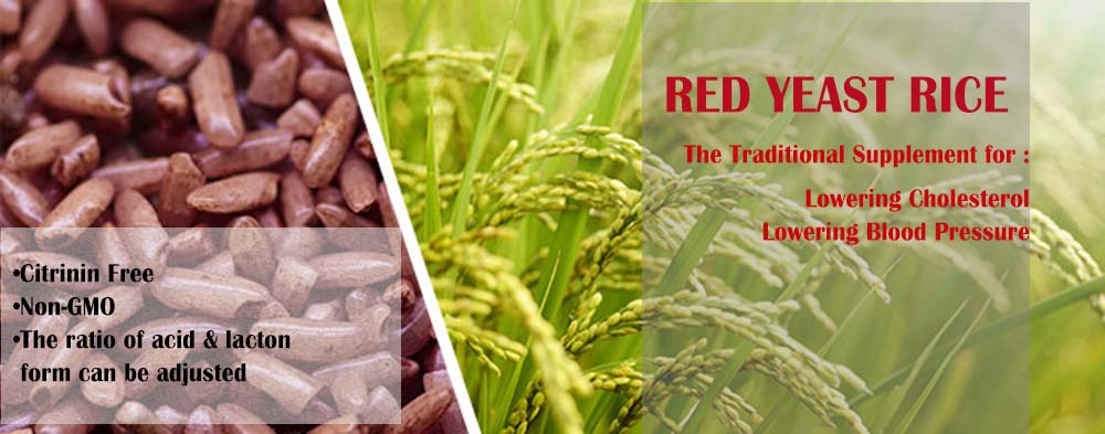 red yeast rice