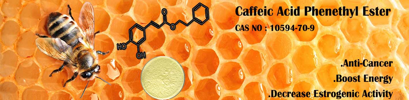 Caffeic Acid Phenethyl Ester