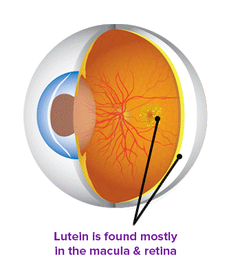 Lutein eye health
