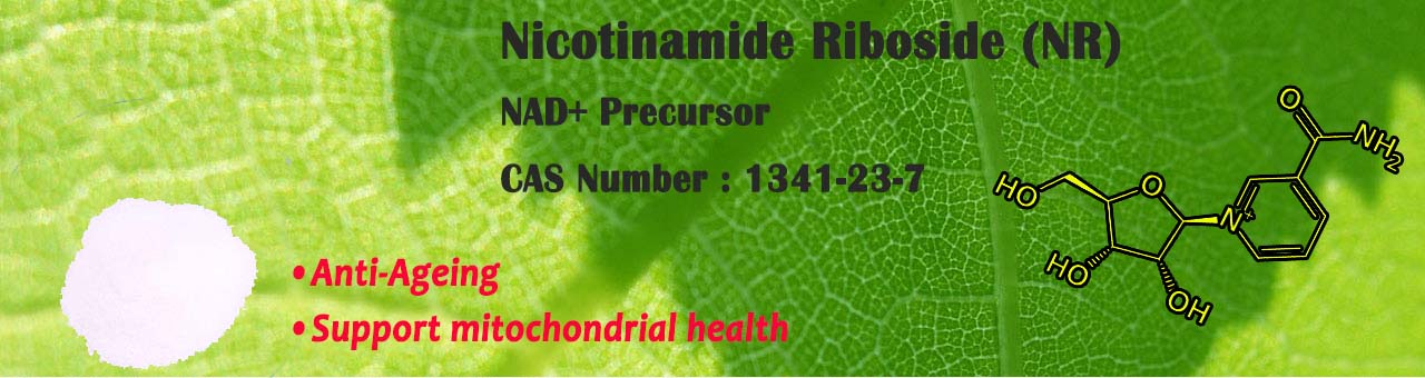 Nicotinamide Riboside NR