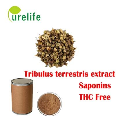 Tribulus terrestris extract with THC Free