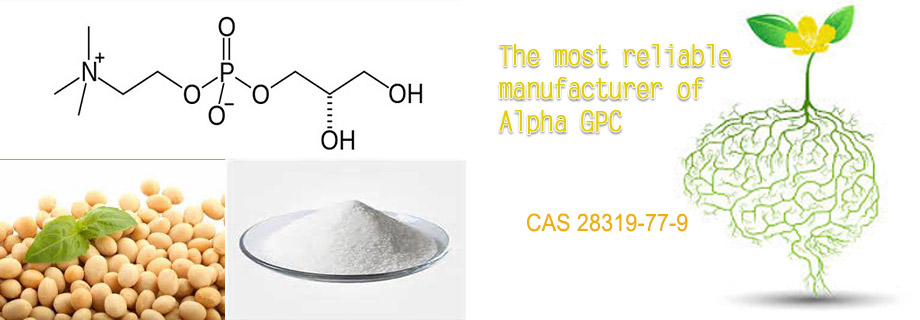 Alpha GPC manufacturer