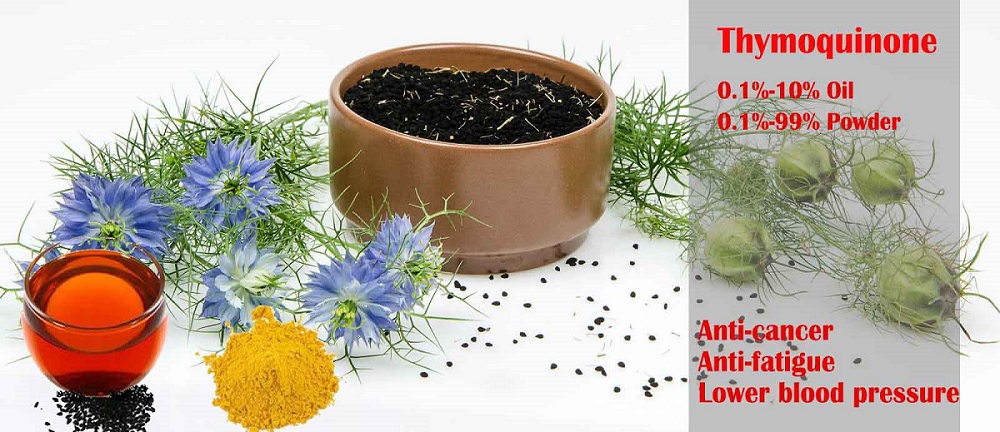 Black Cumin seed extract thymoquinone