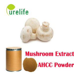 AHCC Mushroom