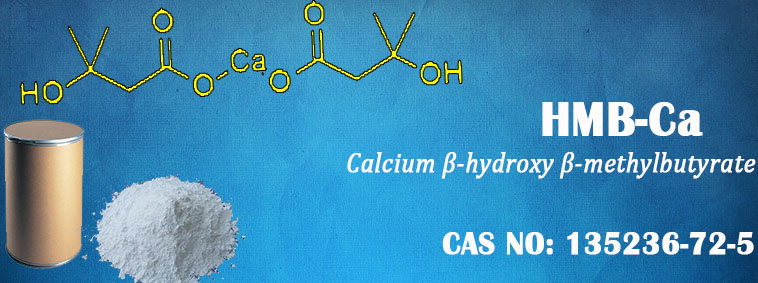 HMB-Calcium