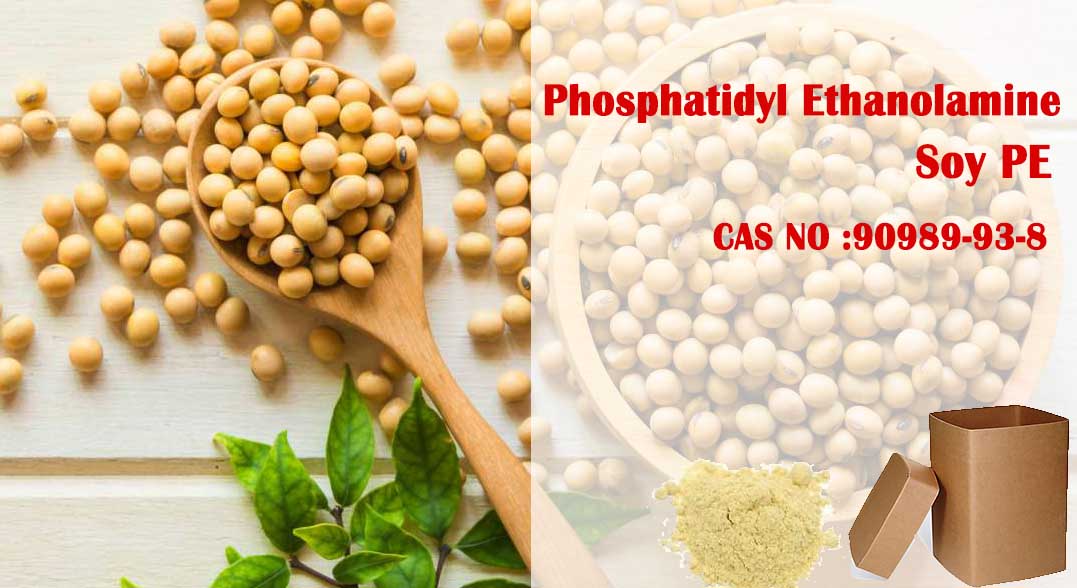 Phosphatidyl Ethanolamine