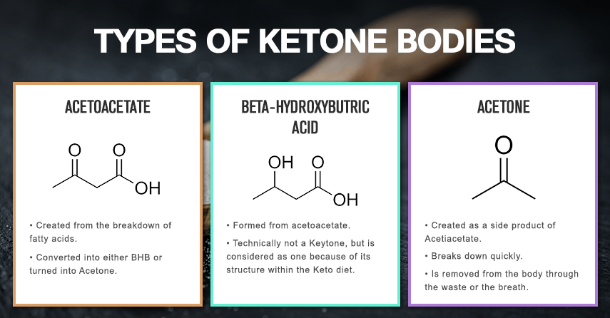 ketone body BHB