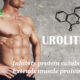 urolithin B muscle mass