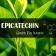 Epicatechin green tea