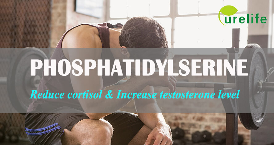 Phosphatidyl-serine reduces cortisol increases testosterone