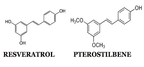 Pterostilbene and Resveratrol