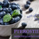 Pterostilbene improves cognitive function