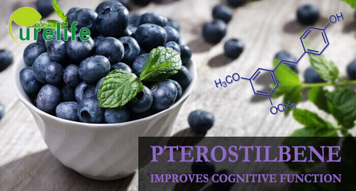 Pterostilbene improves cognitive function