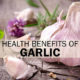 Garlic extract improves Cardiovascular immune and liver health
