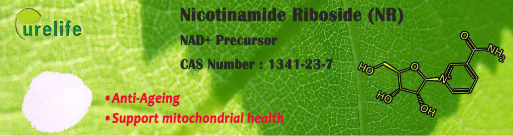 Nicotinamide ribose prevents alzheimer disease