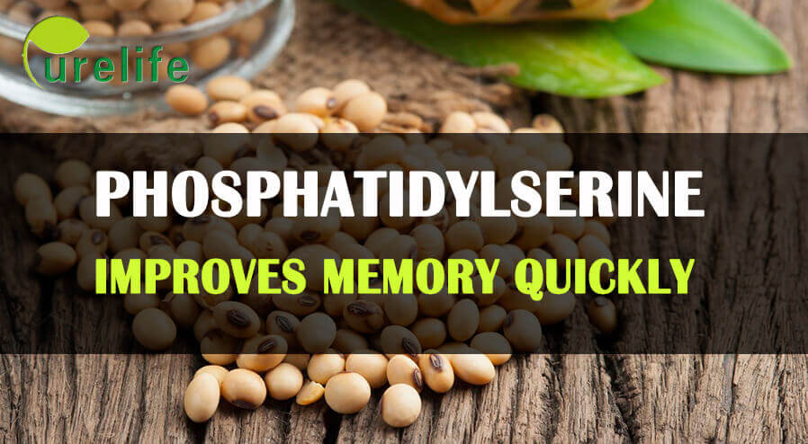 Phosphatidylserine improves memory 