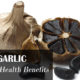 Black garlic health benefits