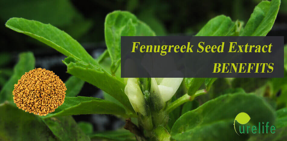 Fenugreek Seed Extract benefits