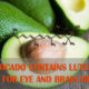 Avocado is good for eye and brain health