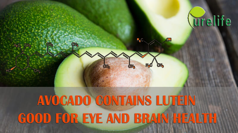 Avocado is good for eye and brain health