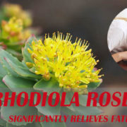 Rhodiola Rosea significantly relieves fatigue syndrome