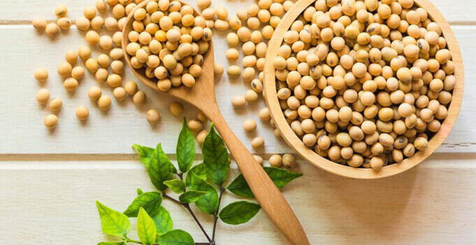 Soybean isoflavones