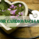 the active ingredients in herbs for cardiovascular health