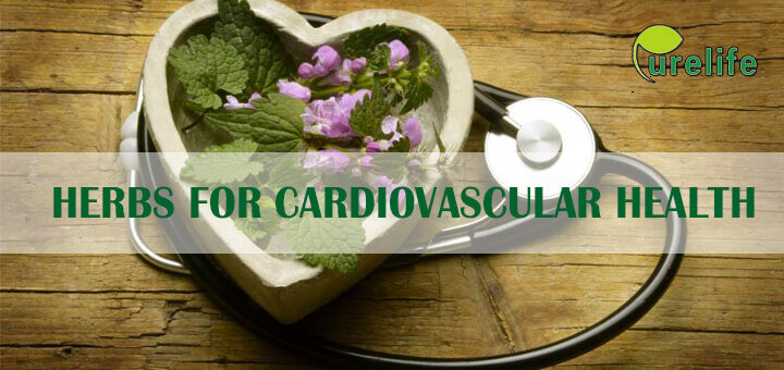 the active ingredients in herbs for cardiovascular health