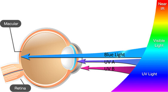 lutein the best blue light filter