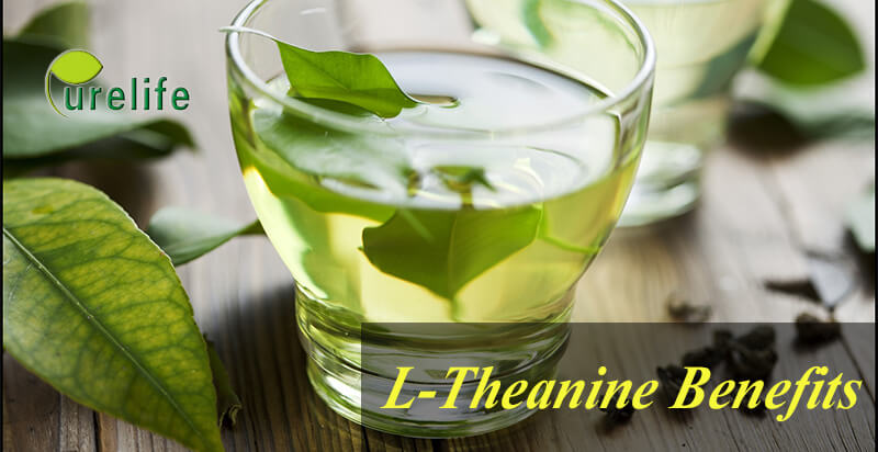 L-Theanine Benefits