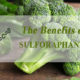 Broccoli Extract sulforaphane