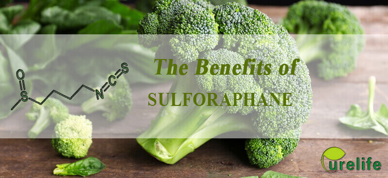 Broccoli Extract sulforaphane