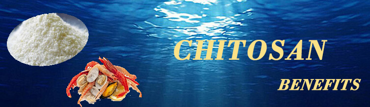 Chitosan benefits