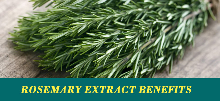 Rosemary extract benefits