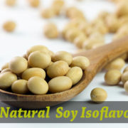 Natural Soy Isoflavones 90%