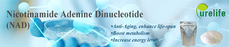 Nicotinamide Adenine Dinucleotide NAD