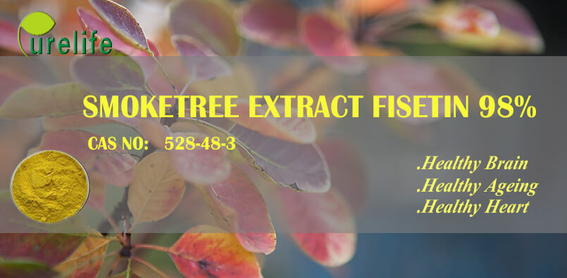 Smoketree extract fisetin 98%