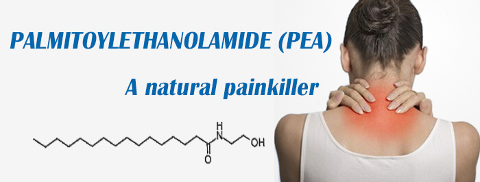 What is Palmitoylethanolamide