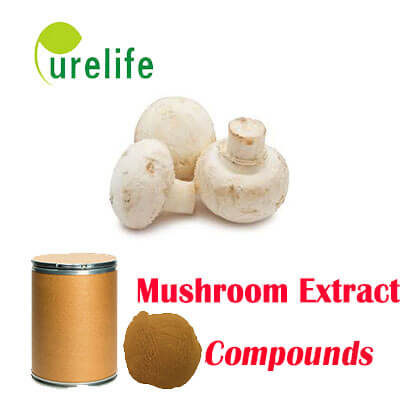 Mushroom Compound Extract