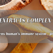 Mushrooms extracts complex supplement