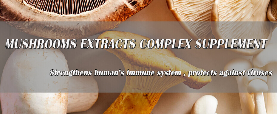Mushrooms extracts complex supplement 