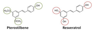 Pterostilbene VS Resveratrol