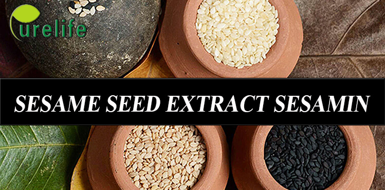 Sesame Seed Extract Sesamin