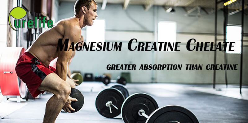 Magnesium Creatine Chelate Benefits