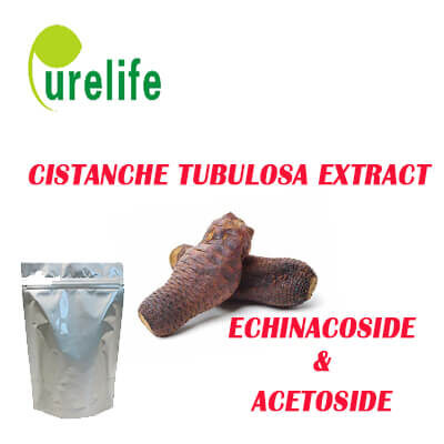 Cistanche Tubulosa Extract supplement 1