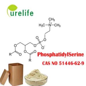 Antarctic krill Phosphatidylserine