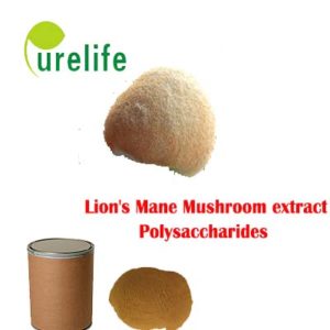 Lion's Mane mushroom
