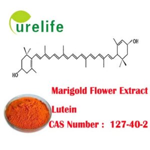 Marigold Flower Extract Lutein